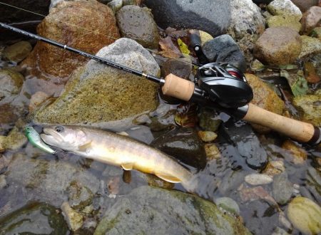 渓流で初のＷヒット！